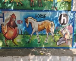 Wall Paintings
